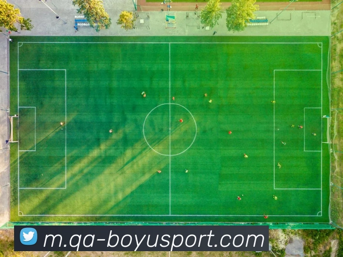 博鱼足球平台生态图